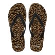 Leopard Flip Flops Online Hot Sale