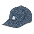 Blue Zebra Cap For Cheap